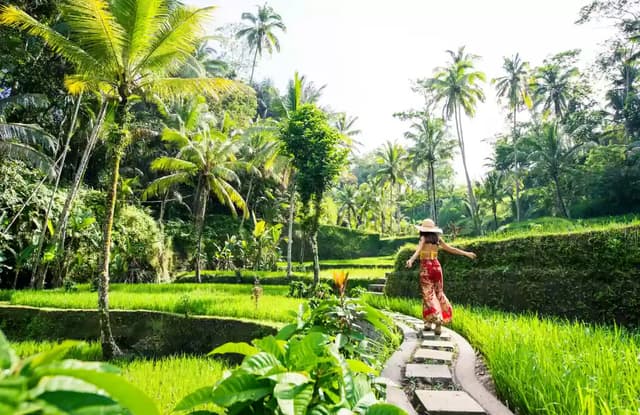 Nature travel experiences