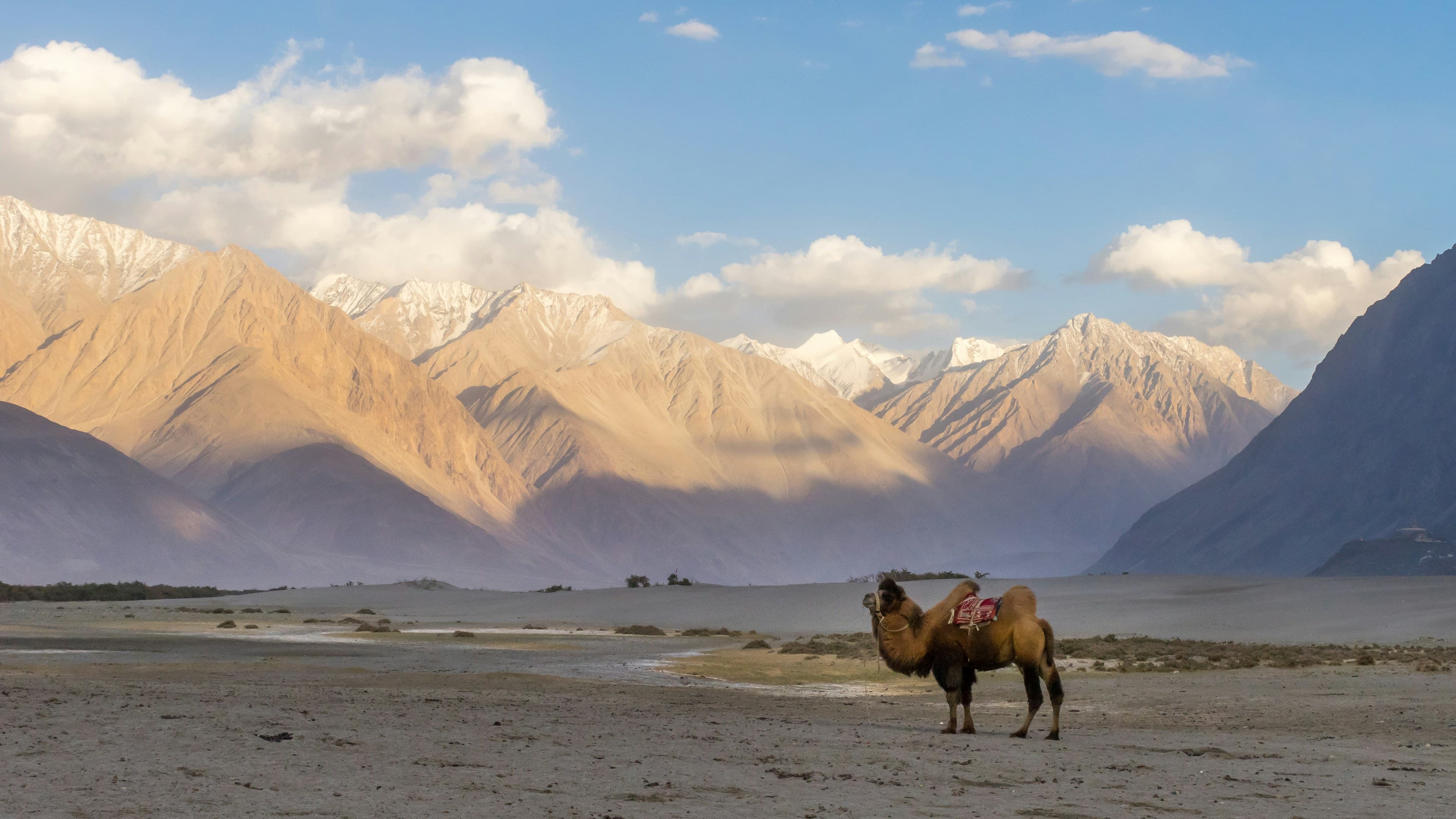 Ladakh Adventure with Turtuk Village