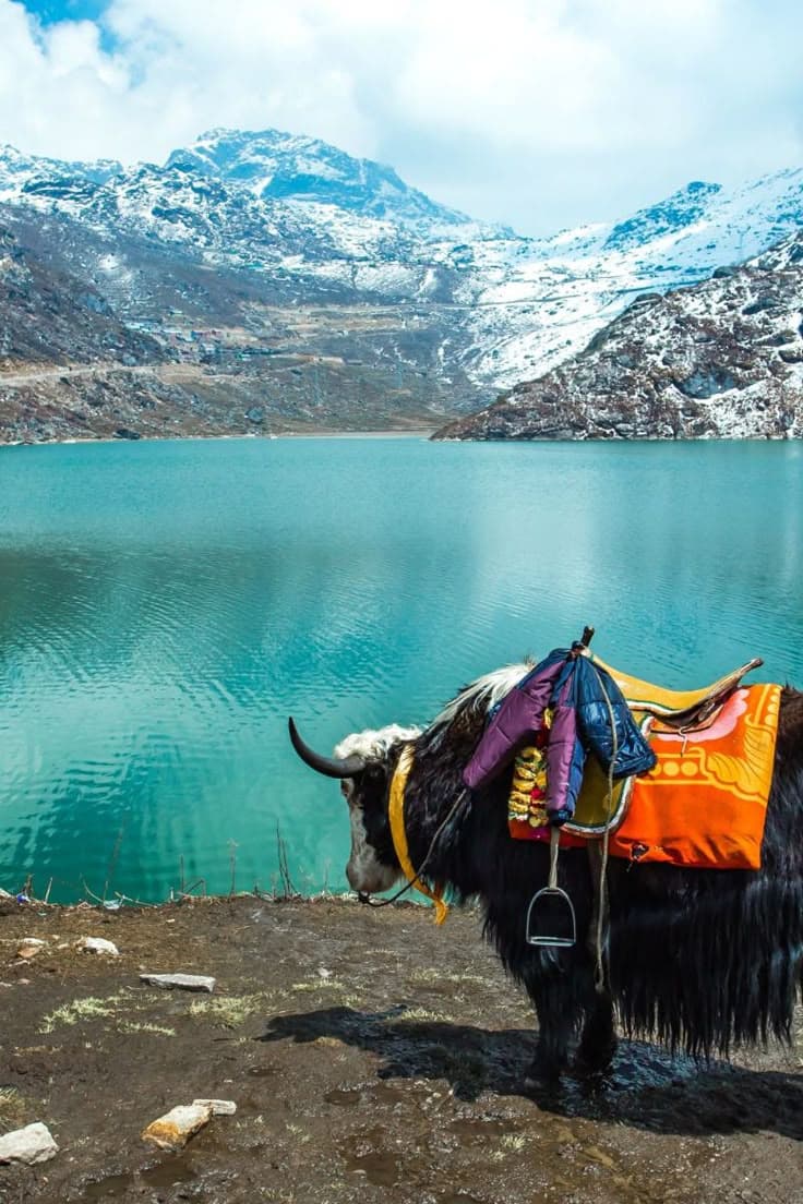 Sikkim