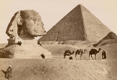 History travel experiences
